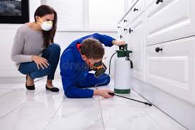 Best Residential Pest Control  in Country Knolls, NY